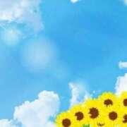 宮里ジュリ ☀️梅雨明け☀️ 白夜