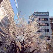 ヒメ日記 2026/04/03 20:15 投稿 こはる クンニ専門店 おクンニ学園 池袋校