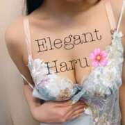 ヒメ日記 2026/04/08 20:29 投稿 Haru Shinozaki ELEGANT－エレガント－