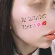 ヒメ日記 2026/04/14 07:02 投稿 Haru Shinozaki ELEGANT－エレガント－