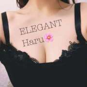 ヒメ日記 2026/04/29 10:20 投稿 Haru Shinozaki ELEGANT－エレガント－