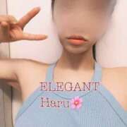 ヒメ日記 2026/04/30 06:42 投稿 Haru Shinozaki ELEGANT－エレガント－