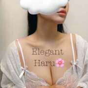 ヒメ日記 2026/05/01 06:44 投稿 Haru Shinozaki ELEGANT－エレガント－