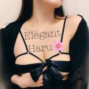 ヒメ日記 2026/05/01 16:28 投稿 Haru Shinozaki ELEGANT－エレガント－