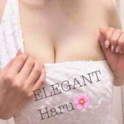 ヒメ日記 2026/05/07 10:16 投稿 Haru Shinozaki ELEGANT－エレガント－