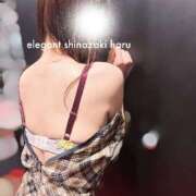ヒメ日記 2026/05/26 06:57 投稿 Haru Shinozaki ELEGANT－エレガント－