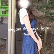 ヒメ日記 2026/06/02 07:07 投稿 Haru Shinozaki ELEGANT－エレガント－