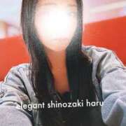 ヒメ日記 2026/06/10 19:48 投稿 Haru Shinozaki ELEGANT－エレガント－