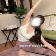 ヒメ日記 2026/07/24 07:59 投稿 Haru Shinozaki ELEGANT－エレガント－
