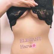 ヒメ日記 2026/08/23 17:15 投稿 Haru Shinozaki ELEGANT－エレガント－