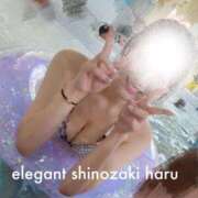 ヒメ日記 2026/09/12 14:51 投稿 Haru Shinozaki ELEGANT－エレガント－