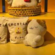 ヒメ日記 2026/07/12 16:37 投稿 あむ 即舐め嬢