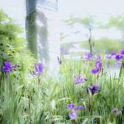 ヒメ日記 2026/05/17 19:56 投稿 千世-ちせ- 人妻倶楽部 花椿大崎店