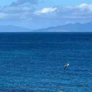 ヒメ日記 2026/04/03 12:29 投稿 りな SOAPLAND COSPA SAPPORO