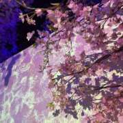 ヒメ日記 2026/04/02 08:03 投稿 ゆきな 池袋人妻城