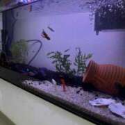 ヒメ日記 2026/04/14 08:12 投稿 ゆきな 池袋人妻城