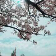 ヒメ日記 2026/04/17 11:33 投稿 ゆきな 池袋人妻城