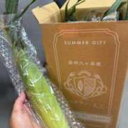 ヒメ日記 2026/08/13 09:45 投稿 ゆきな 池袋人妻城