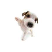 ヒメ日記 2026/04/12 09:18 投稿 らら Profile～プロフィール～（那覇）