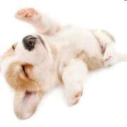 ヒメ日記 2026/04/17 17:42 投稿 らら Profile～プロフィール～（那覇）