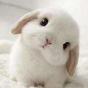 ヒメ日記 2026/04/24 00:18 投稿 らら Profile～プロフィール～（那覇）