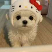 ヒメ日記 2026/04/25 17:03 投稿 らら Profile～プロフィール～（那覇）