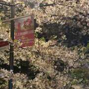 ヒメ日記 2026/04/05 23:30 投稿 はづき エンジェルシリカ