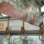 ヒメ日記 2026/07/16 17:40 投稿 はづき エンジェルシリカ