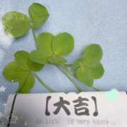 ヒメ日記 2026/08/11 09:12 投稿 青木 ななこ こあくまな熟女たち 金沢店(KOAKUMAグループ)