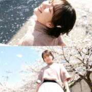 ヒメ日記 2026/04/21 21:16 投稿 さや ごほうびSPA広島店