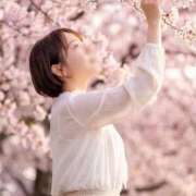ヒメ日記 2026/04/24 12:05 投稿 さや ごほうびSPA広島店