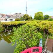 ヒメ日記 2026/04/24 16:35 投稿 いずみ 角海老石亭