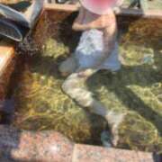 ヒメ日記 2026/05/02 13:23 投稿 いずみ 角海老石亭