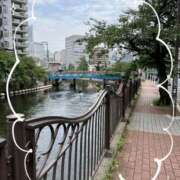 ヒメ日記 2026/07/04 14:19 投稿 いずみ 角海老石亭