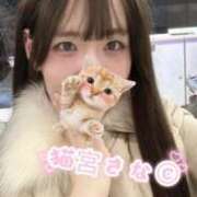 ヒメ日記 2026/07/31 12:17 投稿 猫宮さな ニューハーフヘルス シーメールレジェンド 横浜店