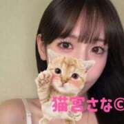 ヒメ日記 2026/08/20 22:05 投稿 猫宮さな ニューハーフヘルス シーメールレジェンド 横浜店