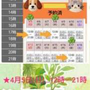 ヒメ日記 2026/04/05 11:15 投稿 月満 美夜日 こあくまな熟女たち徳島店(KOAKUMAグループ)