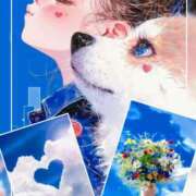 ヒメ日記 2026/04/08 09:28 投稿 月満 美夜日 こあくまな熟女たち徳島店(KOAKUMAグループ)