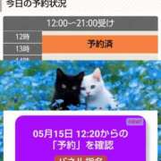 ヒメ日記 2026/05/15 09:50 投稿 月満 美夜日 こあくまな熟女たち徳島店(KOAKUMAグループ)