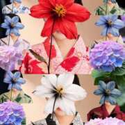 ヒメ日記 2026/06/08 22:09 投稿 月満 美夜日 こあくまな熟女たち徳島店(KOAKUMAグループ)
