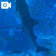ヒメ日記 2026/07/25 15:39 投稿 いろり★UL対応 Blue Moon