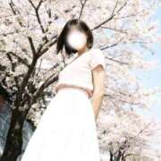 ヒメ日記 2026/04/01 23:20 投稿 白石ゆい 癒しの極み アライズの匠