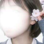 ヒメ日記 2026/04/06 10:26 投稿 白石ゆい 癒しの極み アライズの匠