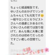 ヒメ日記 2026/04/11 22:22 投稿 白石ゆい 癒しの極み アライズの匠