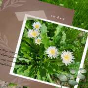 ヒメ日記 2026/04/23 22:15 投稿 みか ○コキクリニック～○○クリニックシリーズ～