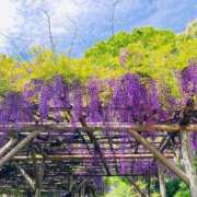 ヒメ日記 2026/04/26 10:29 投稿 奈々美(ななみ) 麗しい人妻 新宿本店