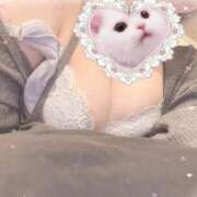 ヒメ日記 2026/04/20 08:51 投稿 ゆに かわいい素人女子TOP100(地方出身者編)