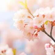 ヒメ日記 2026/04/02 08:30 投稿 さよ 松本人妻隊