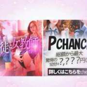 ヒメ日記 2026/05/13 15:08 投稿 まる【ロリ好きにはたまらない】 ポニーテール和歌山店