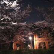 ヒメ日記 2026/04/05 12:04 投稿 如月あみり セクシーキャット 神田店